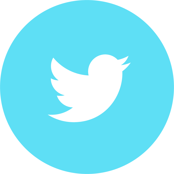 Ut-austin's New Initiative Rewards Healthy Student - Twitter Bird Logo Png Transparent (738x738)