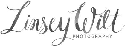 Linsey Wilt Photography Blog - Calligraphy (500x247)