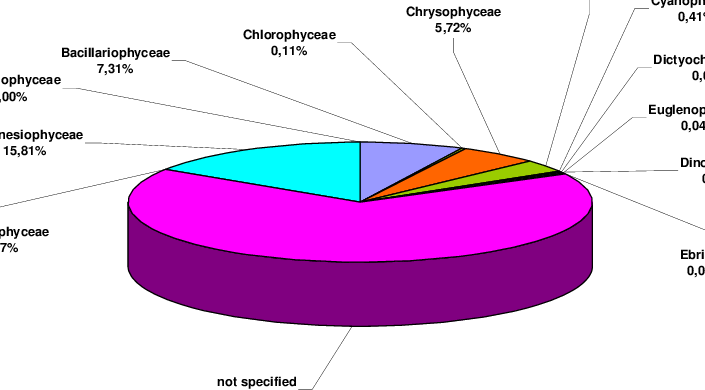 Composition Of The Phytoplankton Sample Of The North - Diagram (705x390)