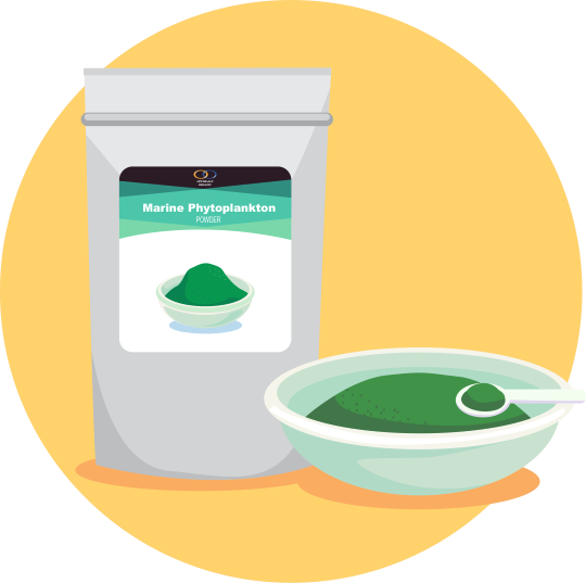 Marine Phytoplankton Optimally Organic - Phytoplankton (540x537)