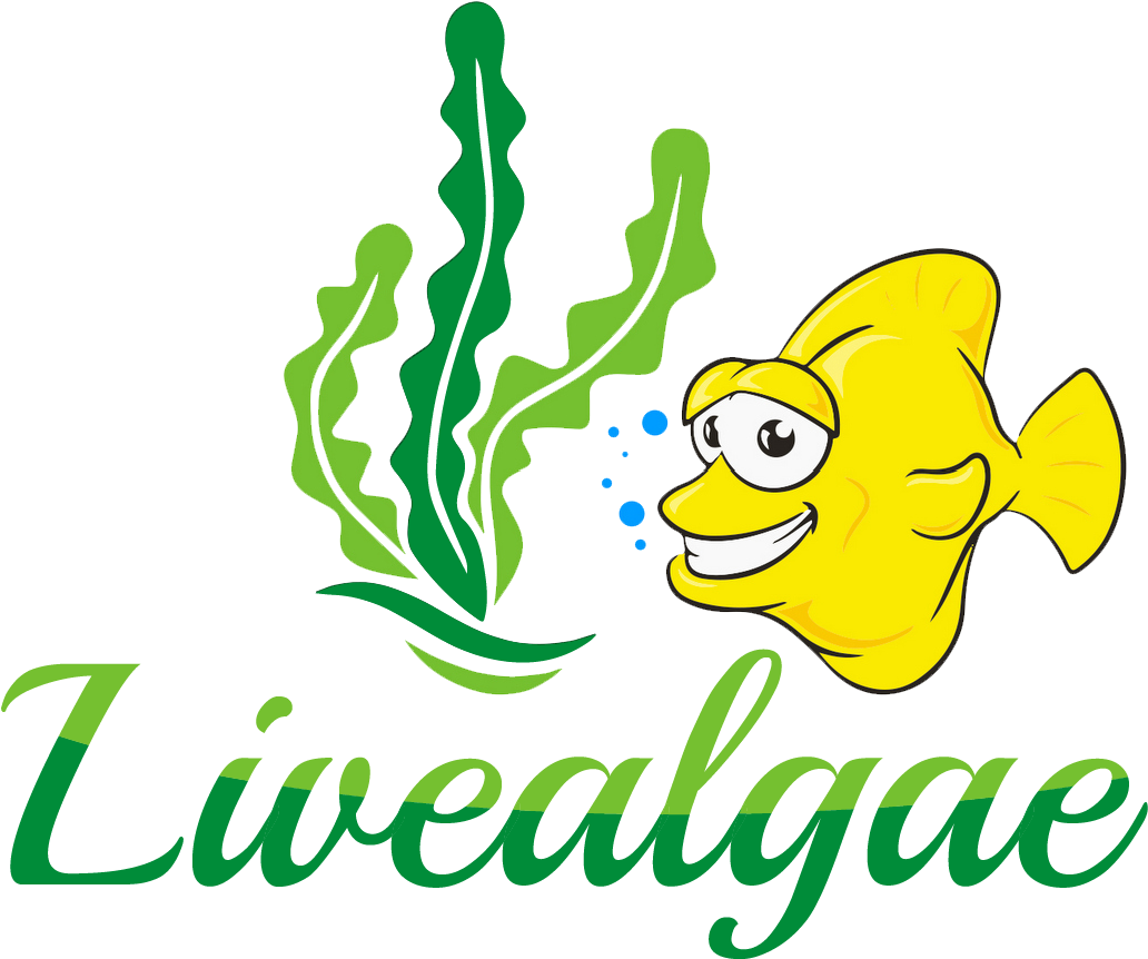 Subscribe & Win - Seaweed (1603x900)