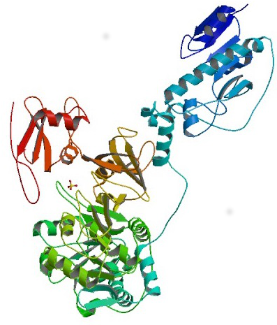 Improving Antibiotics Image - Improving Antibiotics Image (396x489)