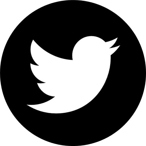 Icone Réseaux Sociaux Gris (590x591)