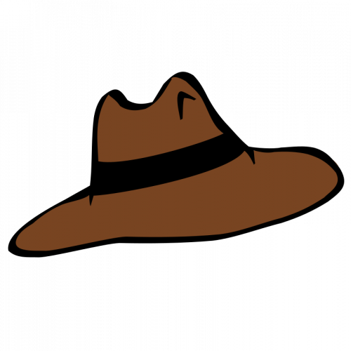 Clipart Info - Cartoon Hat Transparent Background (500x500)