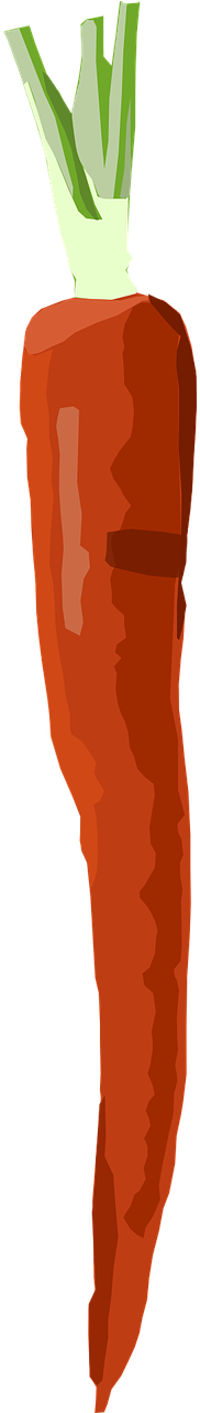 Vector Graphics,free Illustrations - Carrot (640x1280)