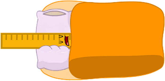 Ruler S - Ruler S (730x382)