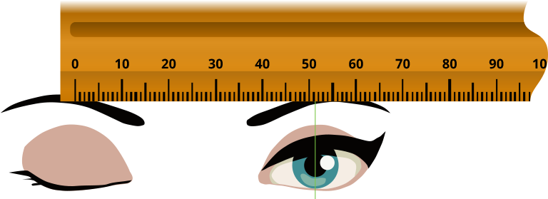 Ruler-eye4 - Ruler (1113x309)