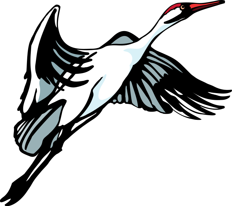 Bird 34 Free Vector - Freed To Love: Healing For Catholic Women (800x710)