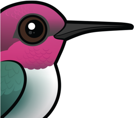 About The Bee Hummingbird - Bee Hummingbird Cartoon (440x440)