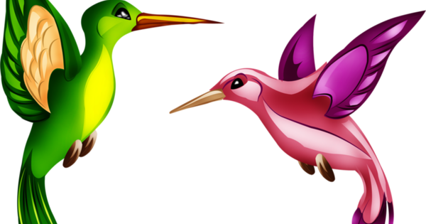 Hummingbird (600x315)