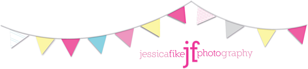 Header Image - Carmine (1103x243)