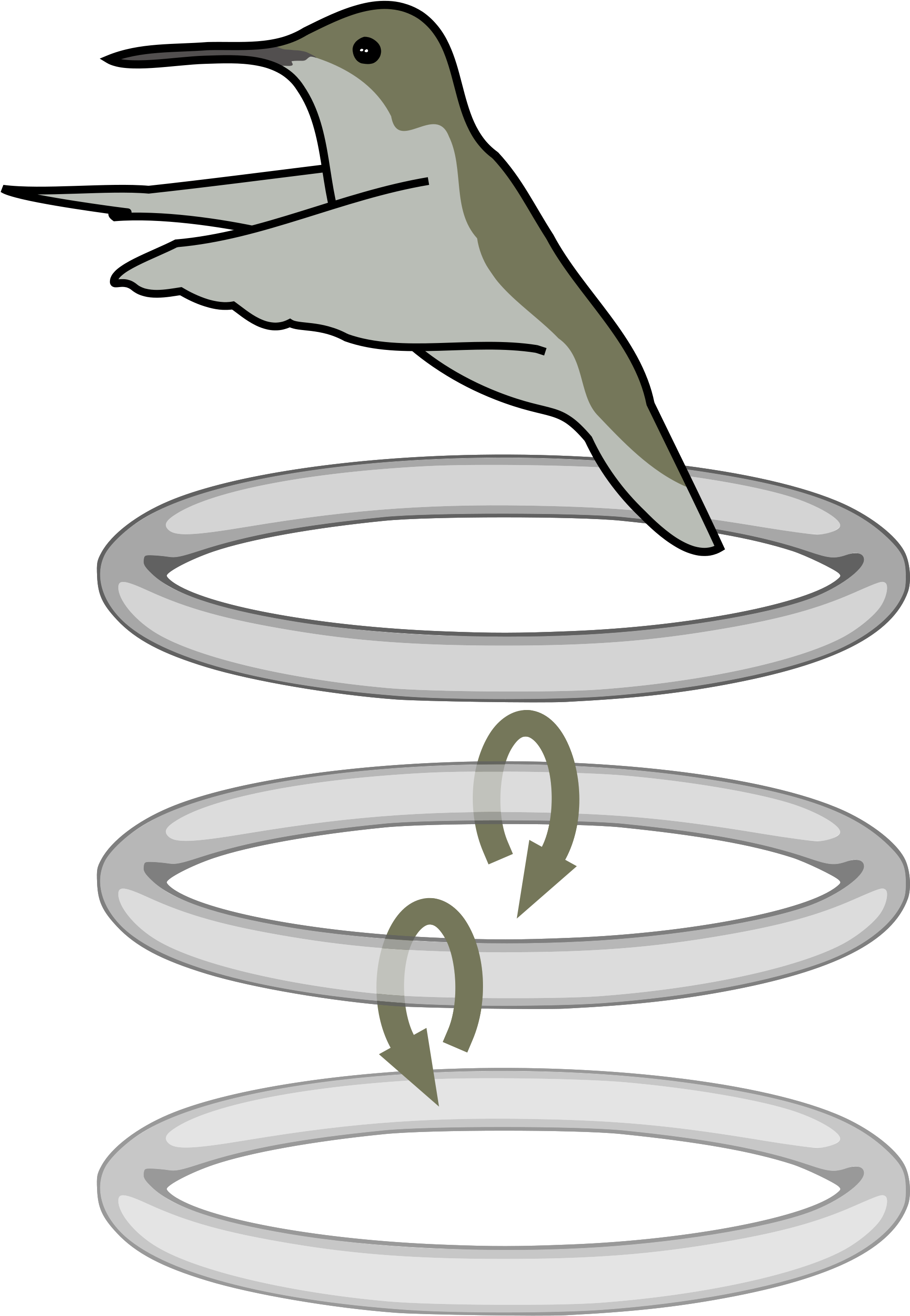 Open - Hummingbird Flaps Diagram (2000x2868)