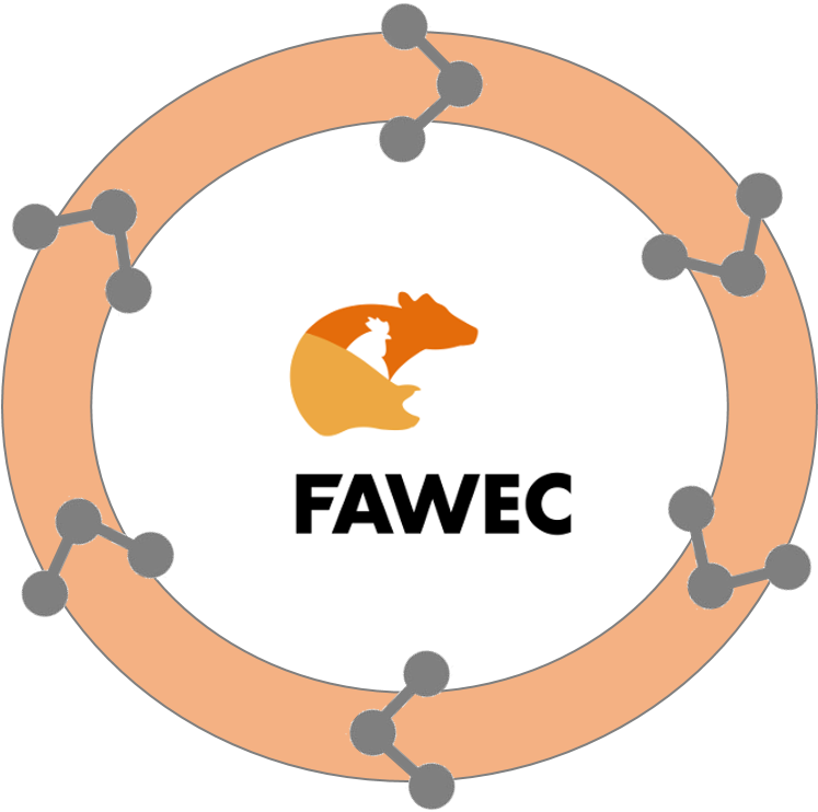 Practice Driven Innovations Have Been Successfully - Illustration (746x757)