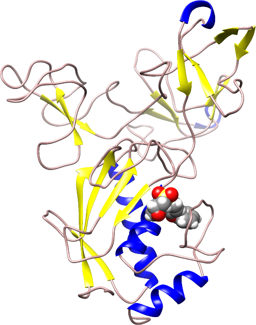 Biologie Structurale - Biologie Structurale (513x650)