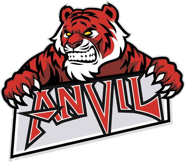 Anvil Gaming V5 By Flopas10 - Anvil Anthology Of Anvil (800x800)
