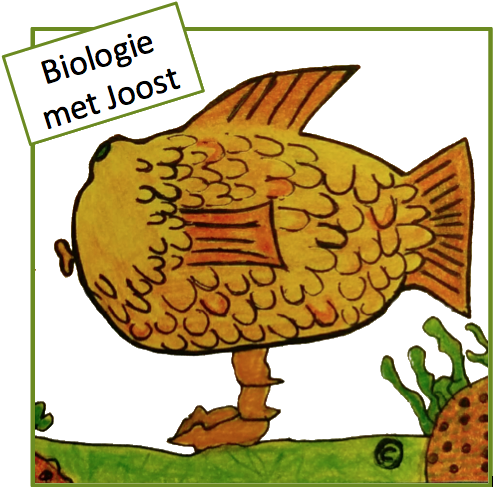 Studiewijzers - Biology (551x544)