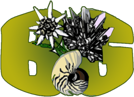 Facultatea De Biologie Şi Geologie - Facultatea De Biologie Şi Geologie (600x400)