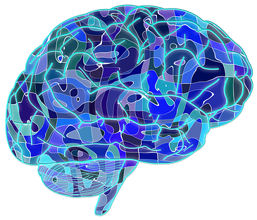 Gehirn Hirn Biologie Abstrakt Großhirn Cer - Brain Blue (480x340)