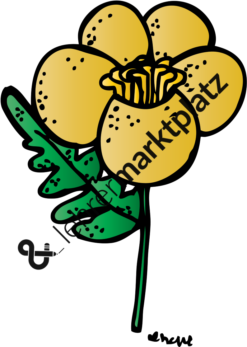 Blumen Biologie, Daz / Daf, Deutsch, Englisch, Lehreralltag, - Blumen Biologie, Daz / Daf, Deutsch, Englisch, Lehreralltag, (800x1149)