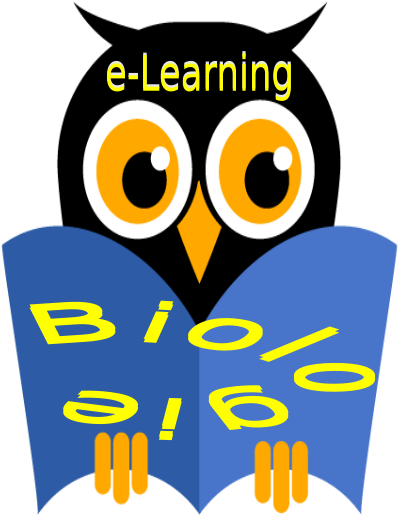 Pedagogia Aplicata In Lectiile De Biologie - E Learning (444x574)