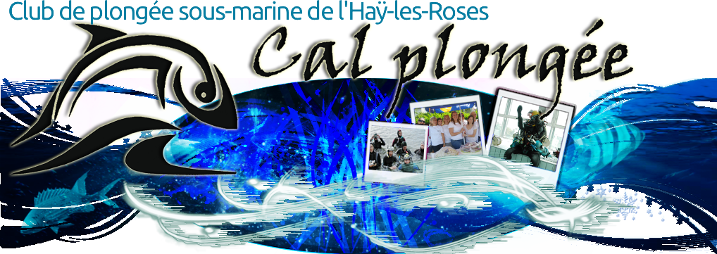 Club De Plongée Sous Marine De L'haÿ Les Roses - L'haÿ-les-roses (1018x361)