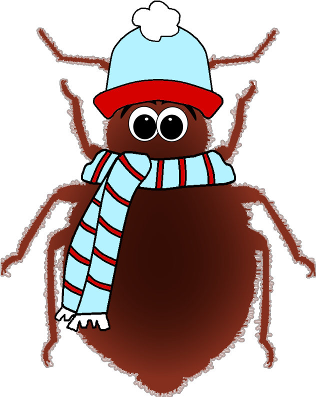 Does Freezing Kill Bed Bugs Find Out Now What Recent - Bed Bug (651x900)