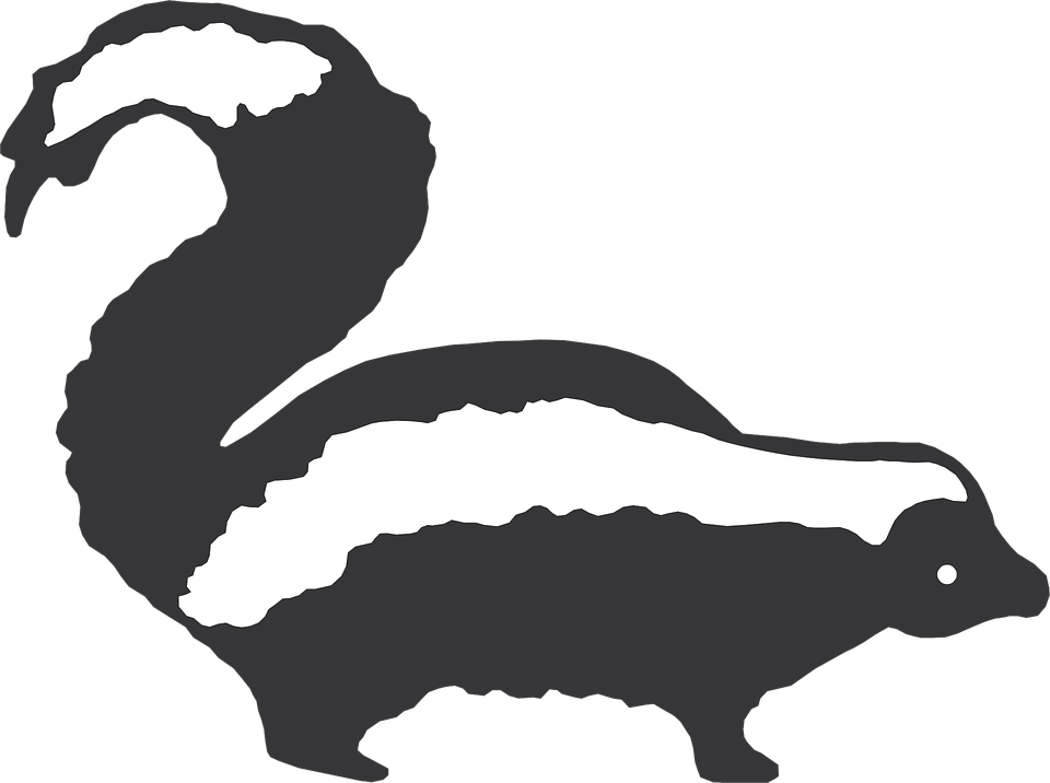 Skunk Stripes Animal Â - Black And White Skunk Clipart (960x716)