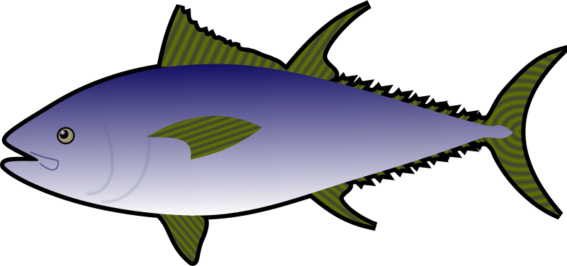 4 - Gambar Animasi Ikan Tuna (800x376)