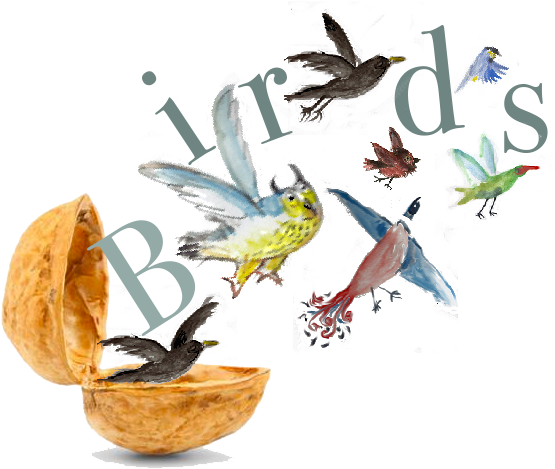 This Brown Bird Which Lives In Hedges, Or Perhaps This - Chickadee (610x485)