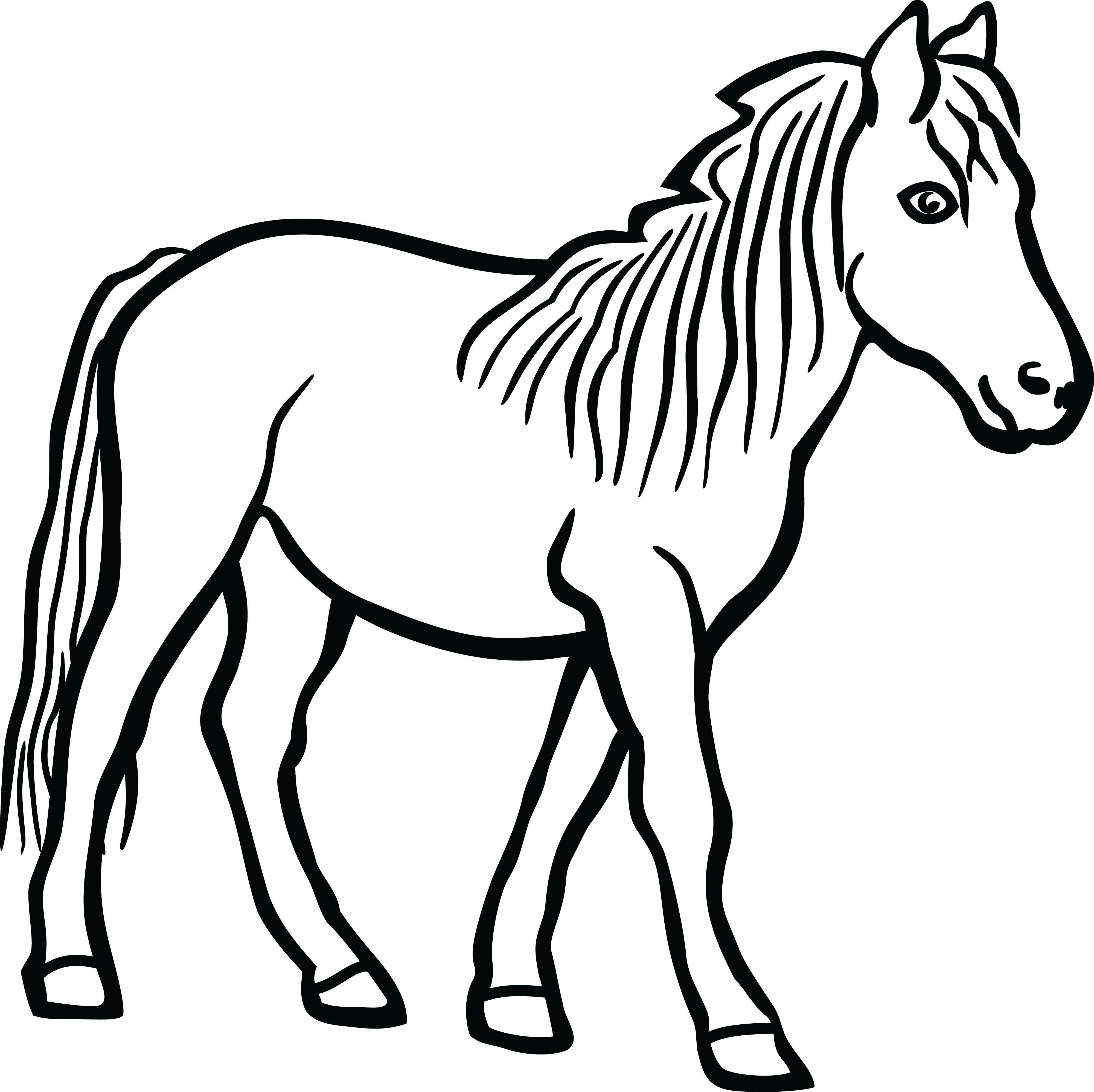 Free Clipart Of A Horse - Mane (4000x3991)