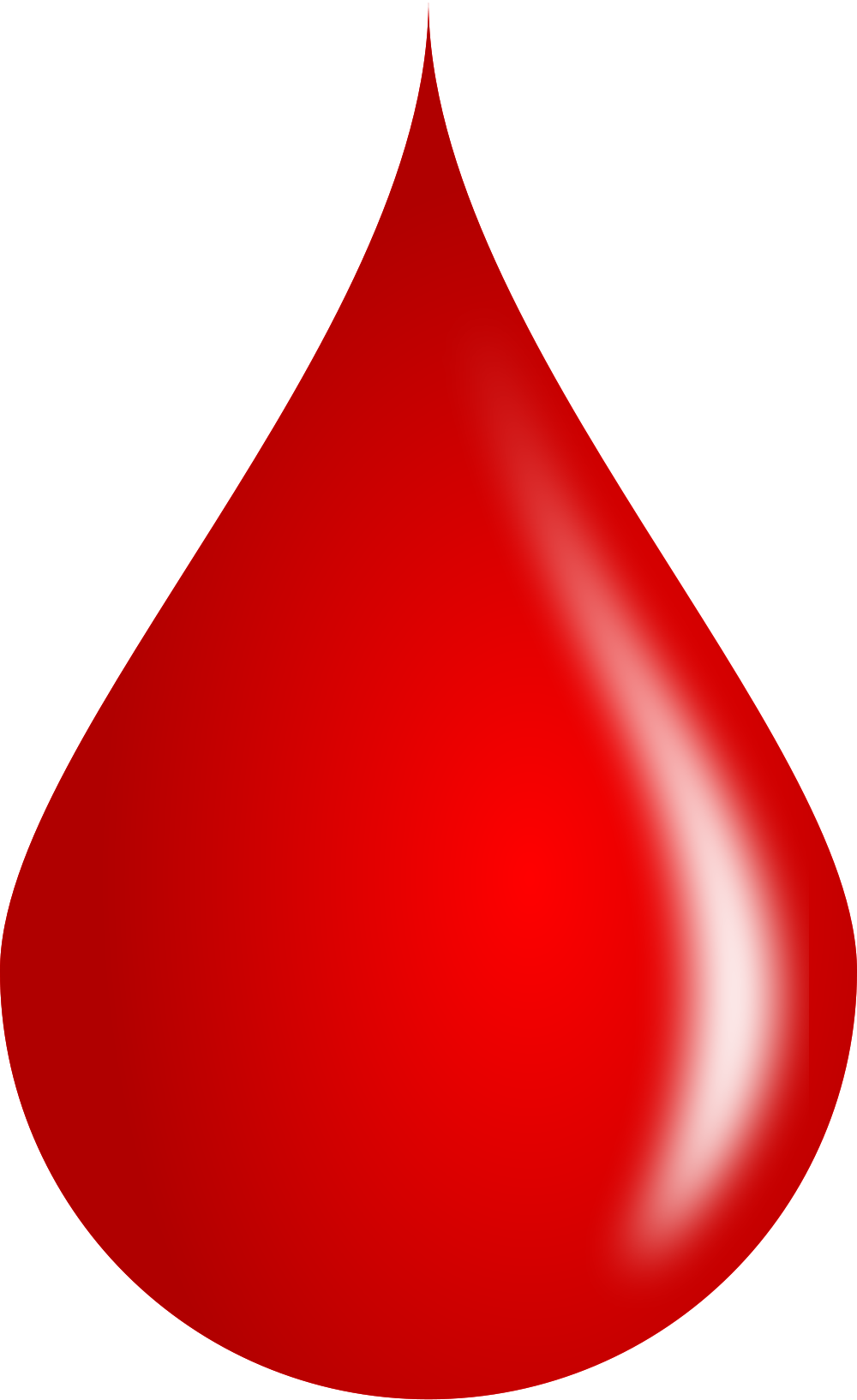 High School Student Council Looks To Collect 40 Pints - Blood Drop Vector Png (1000x1634)