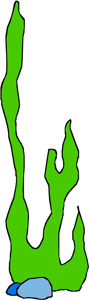 Seaweed Smart Exchange Usa Search Lessons By Keyword - Seaweed Cartoon Jpg (420x1151)
