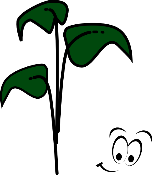Bean Sprout Character Clip Art - Clip Art (516x596)