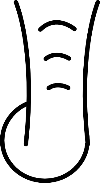 Cartoon Elephant Trunk Clip Art - Elephant Trunk Clipart Black And White (480x880)