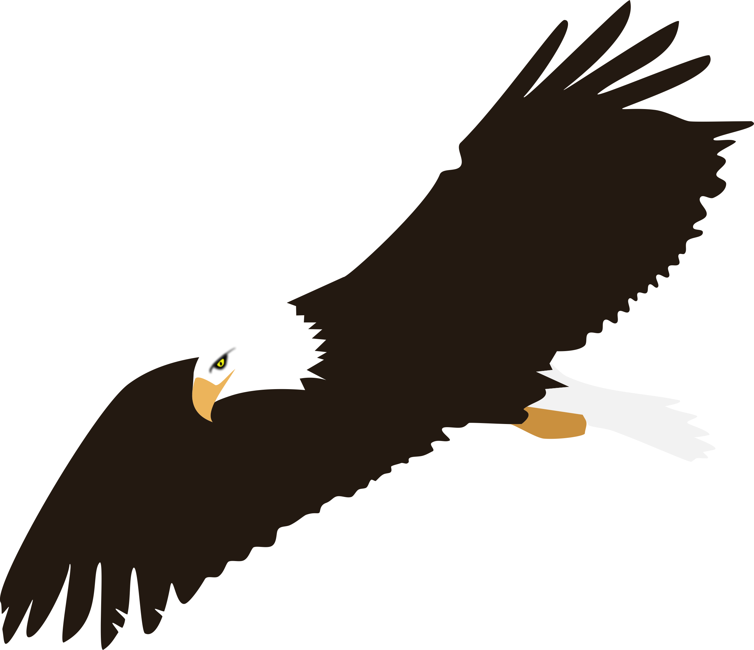 Soaring Bald Eagle Vector Clipart Image - Eagle With White Background (2400x2068)