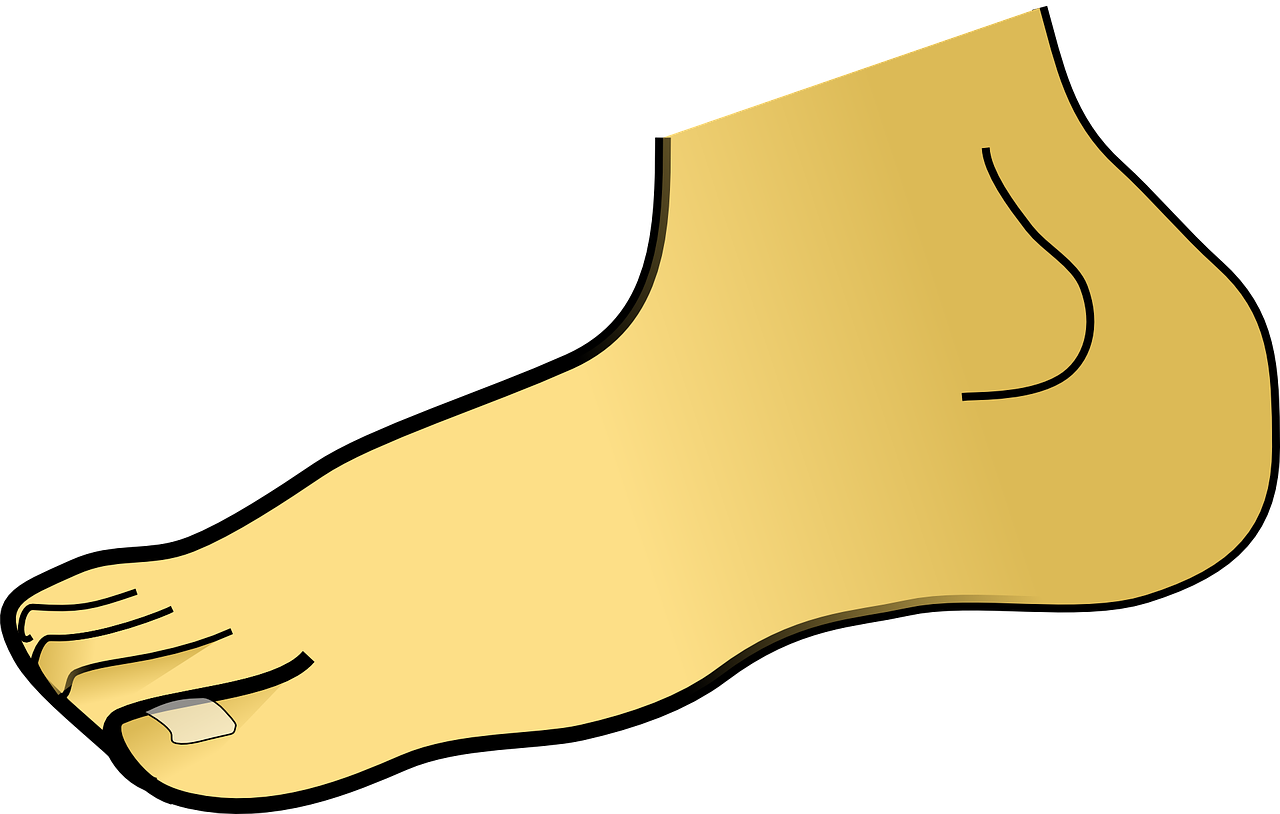 Foot Clipart (1280x814)