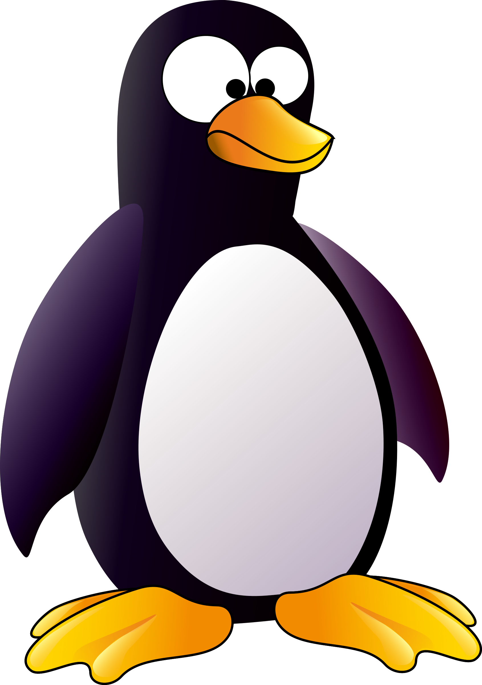 Penguin - Penguin Is A Bird Or Animal (1691x2400)