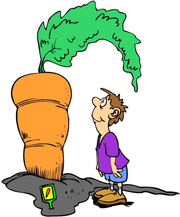 Pictures - Clipart Seeds Carrot (756x909)