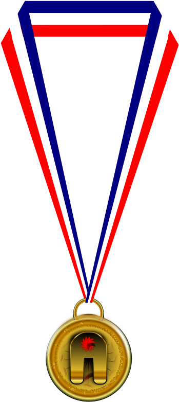Medallion - Medal Clip Art (566x800)