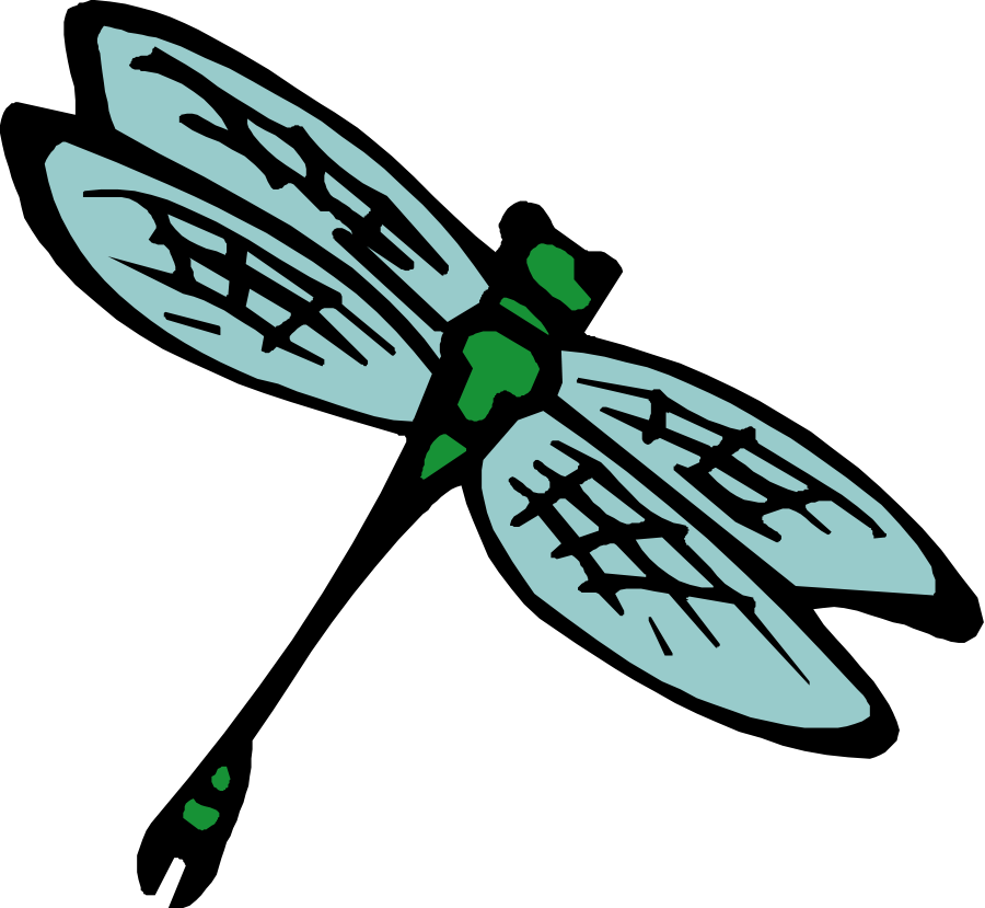 Insect Clipart Transparent - Insect Clip Art (900x829)