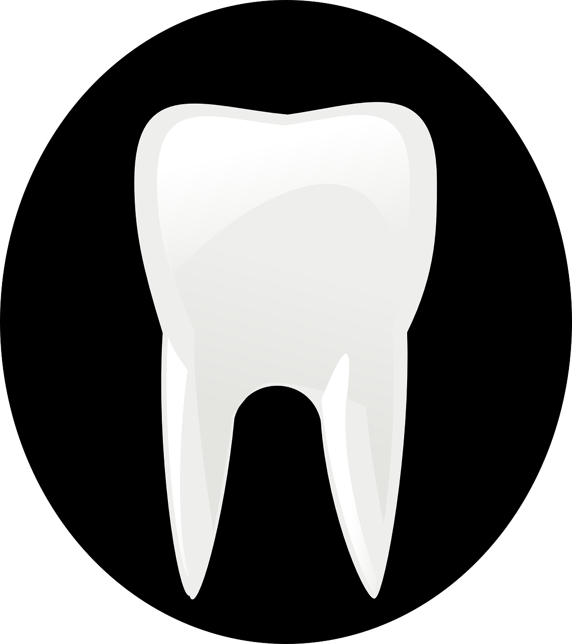 Free Vector Tooth Molar Clip Art - Diş Vektörel (1619x1824)