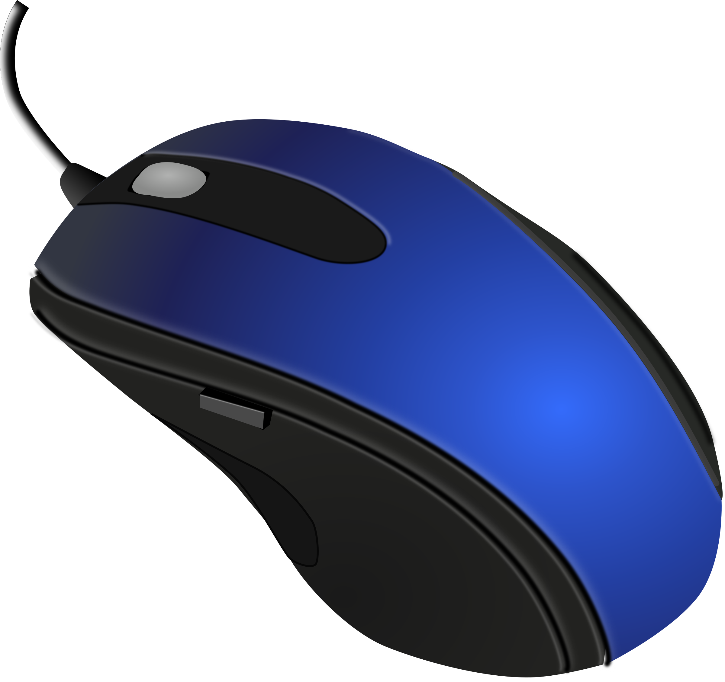 Sibm mouse