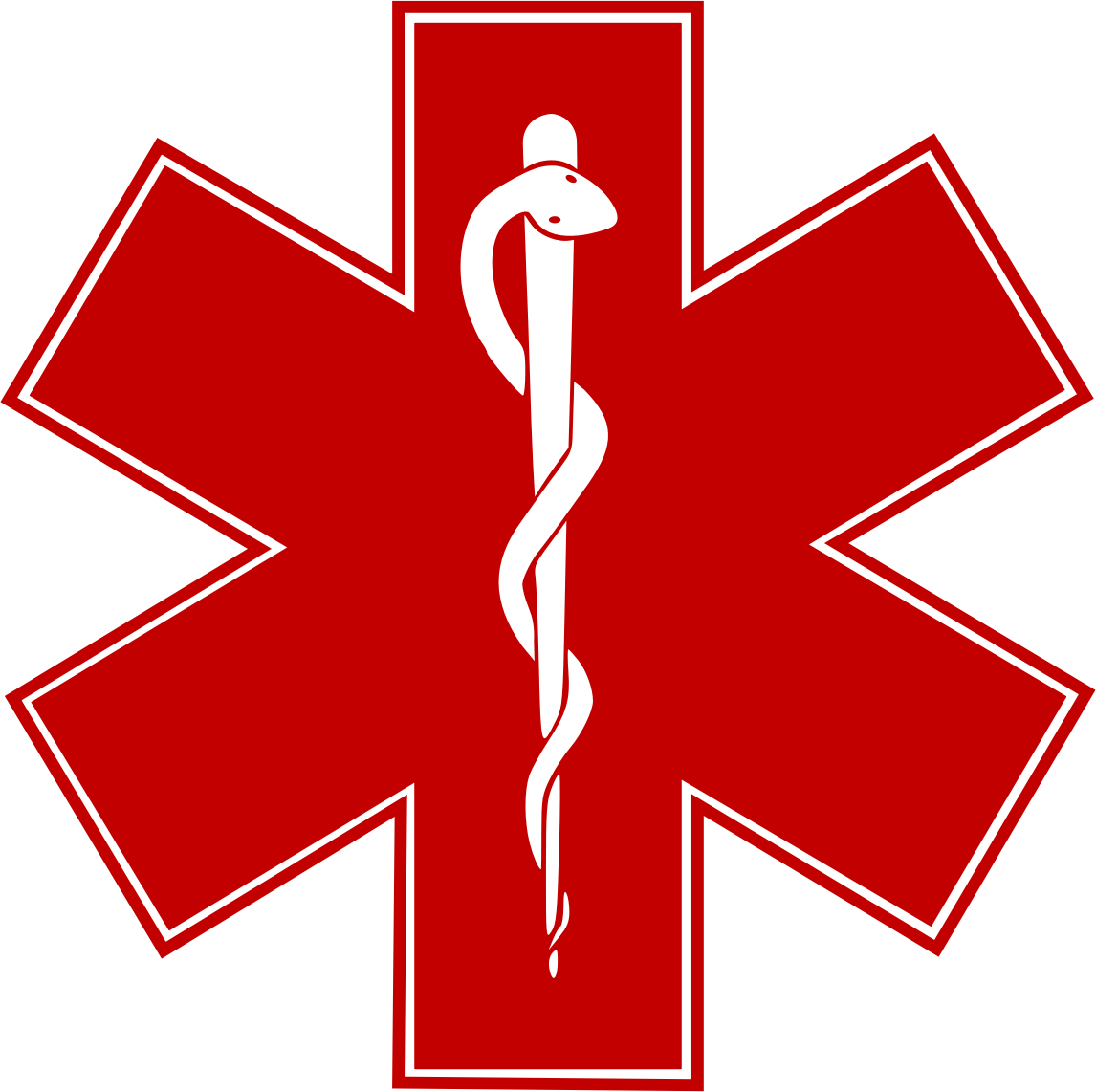 Ambulance Driver Clip Art Back Of Ambulance Paramedics - Star Of Life (1146x1142)