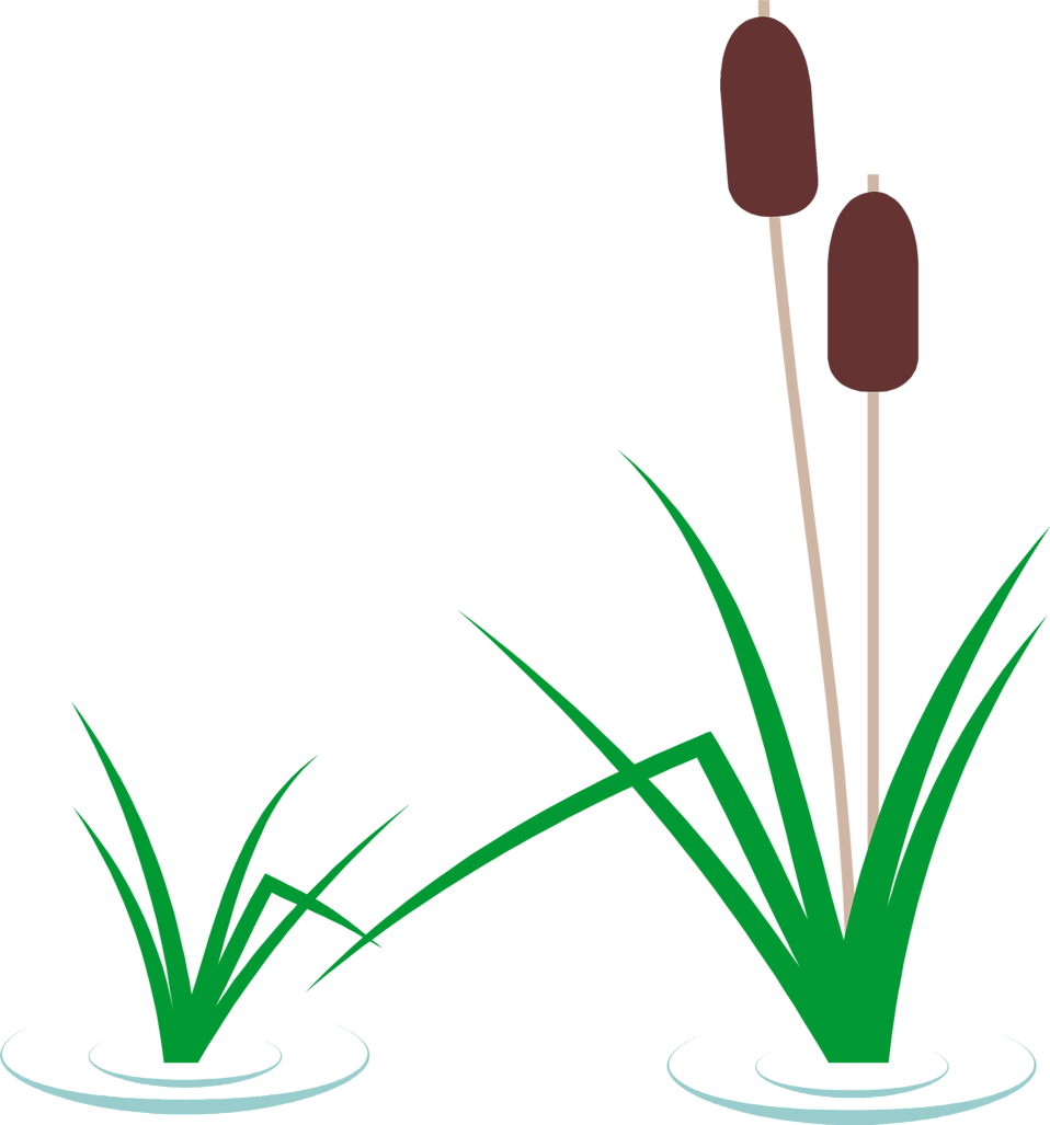 Cattails Clip Art Black White Clipart Pencil And In - Cattail Clipart (958x1027)