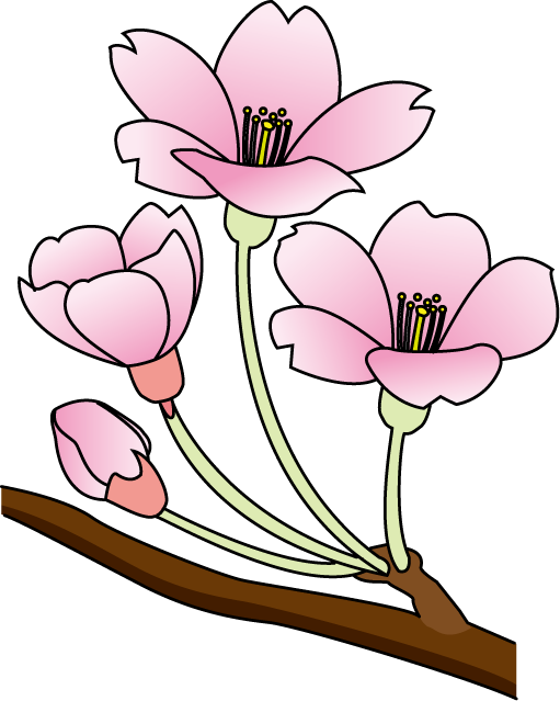 Cherry Blossom Clip Art Free - Cherry Blossom Clip Art Free (511x639)