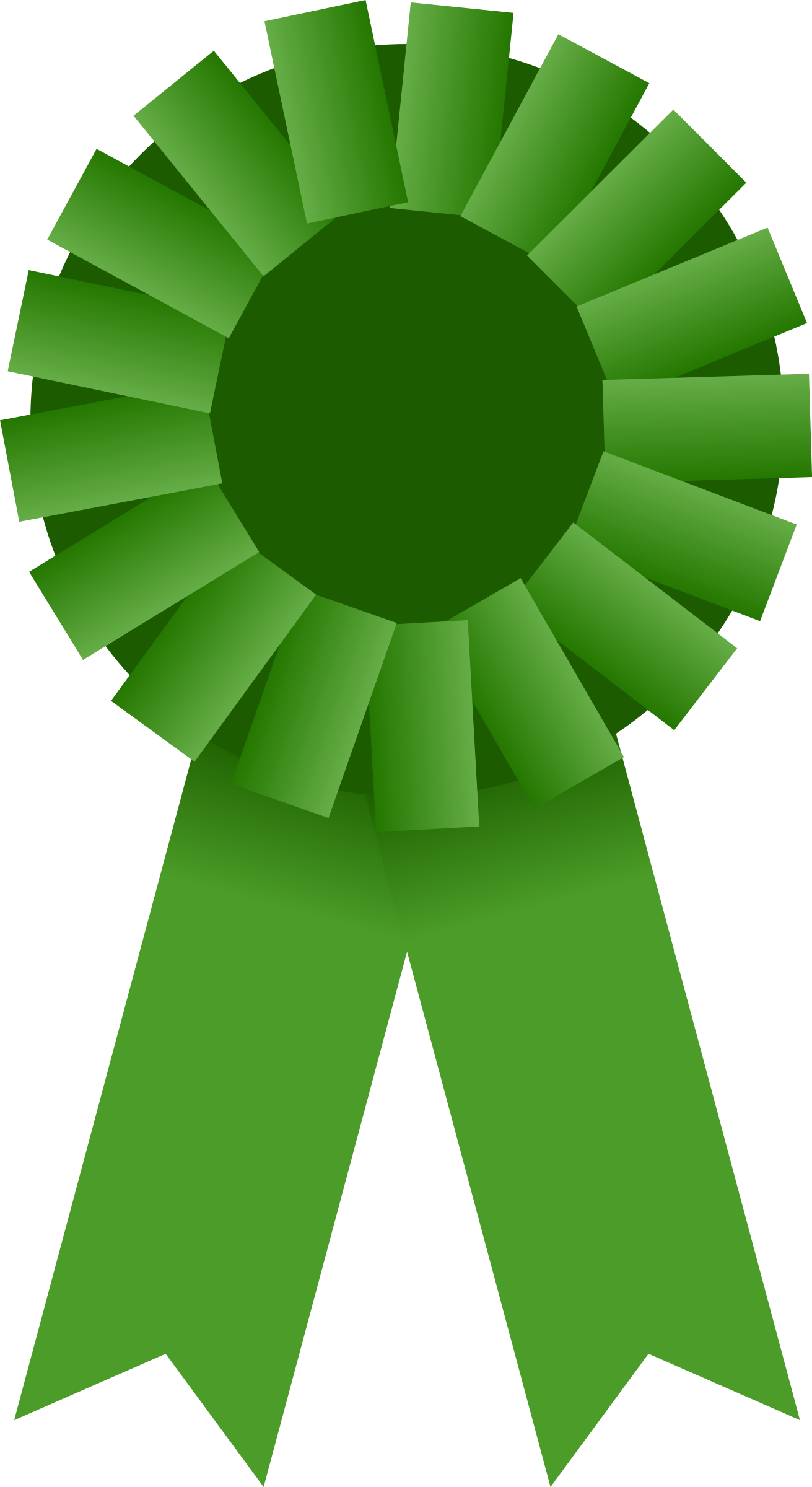 Big Image - Green Award Ribbon Png (1311x2400)