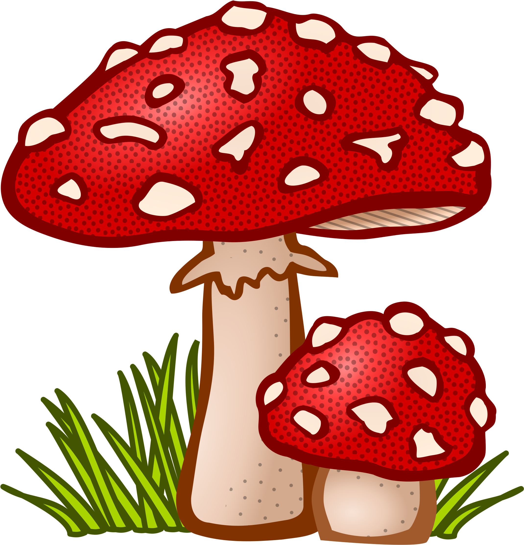 Big Image - Mushrooms Clipart (2325x2400)