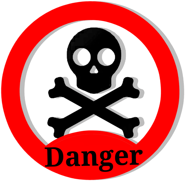 Danger Skull Vector Clipart Sign Take Care - Danger Transparent (800x800)