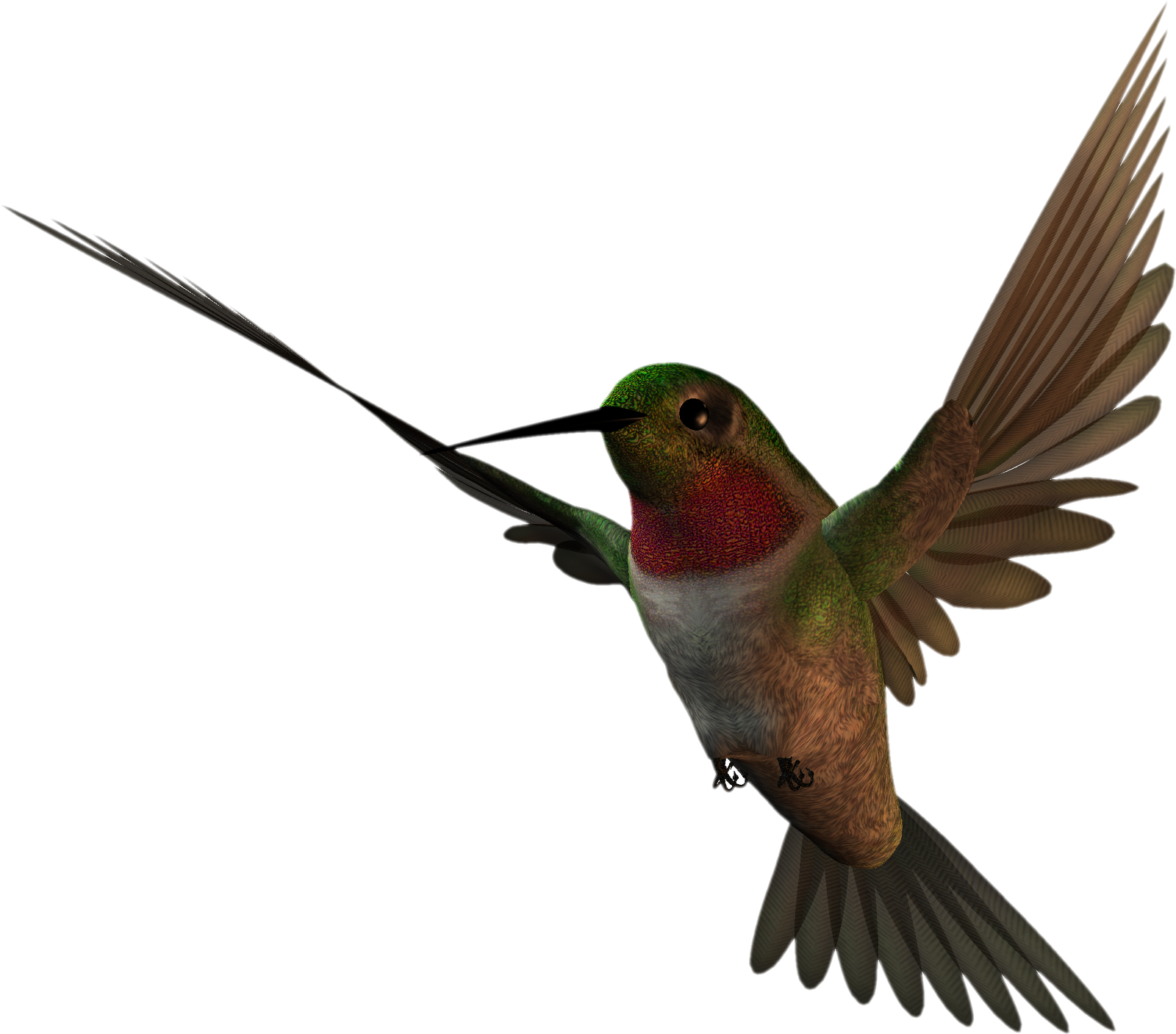 Free High Resolution Clipart - Hummingbird High Resolution (1600x1407)