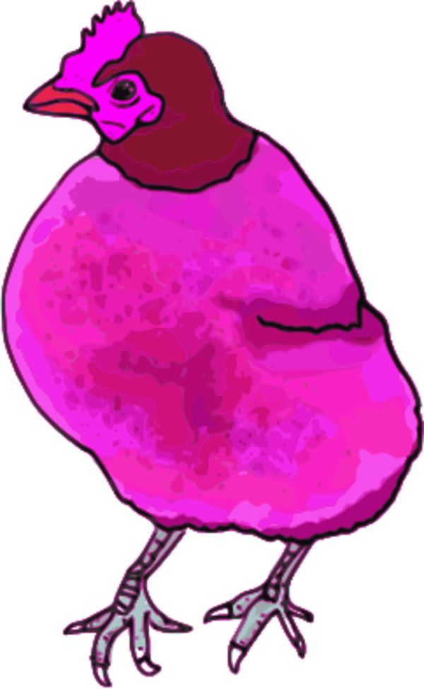 Chicken Hen Vector Clip Art Image - Red Hen Shower Curtain (600x974)